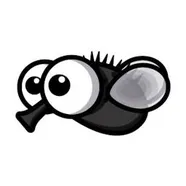 FlyOrDie.io